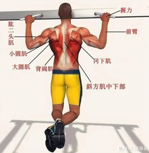 办公室内园林景观设计